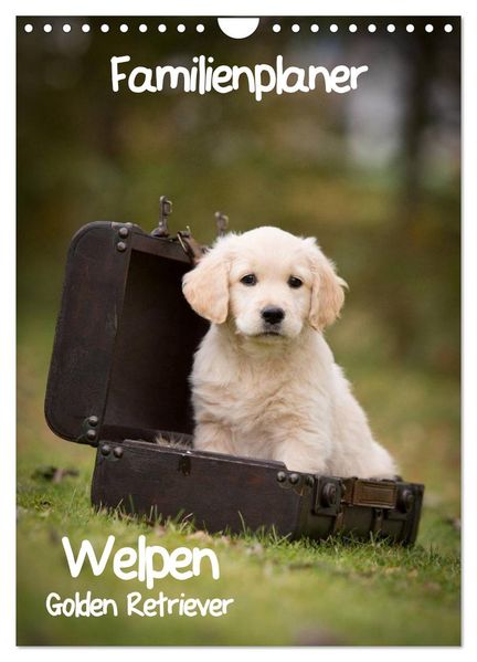 Familienplaner: Golden Retriever Welpen (Wandkalender 2027 DIN A4 hoch) CALVENDO Monatskalender