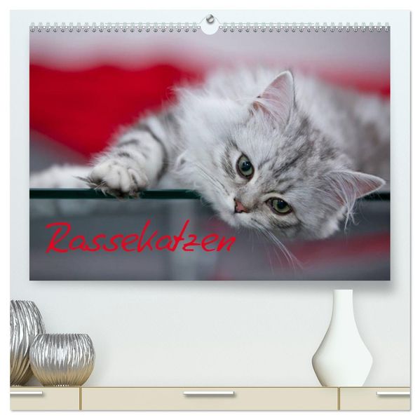 Rassekatzen (hochwertiger Premium Wandkalender 2027 DIN A2 quer) Kunstdruck in Hochglanz