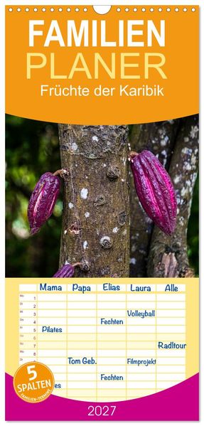 Familienplaner 2027 - Früchte der Karibik mit 5 Spalten (Wandkalender 21 x 45 cm) CALVENDO