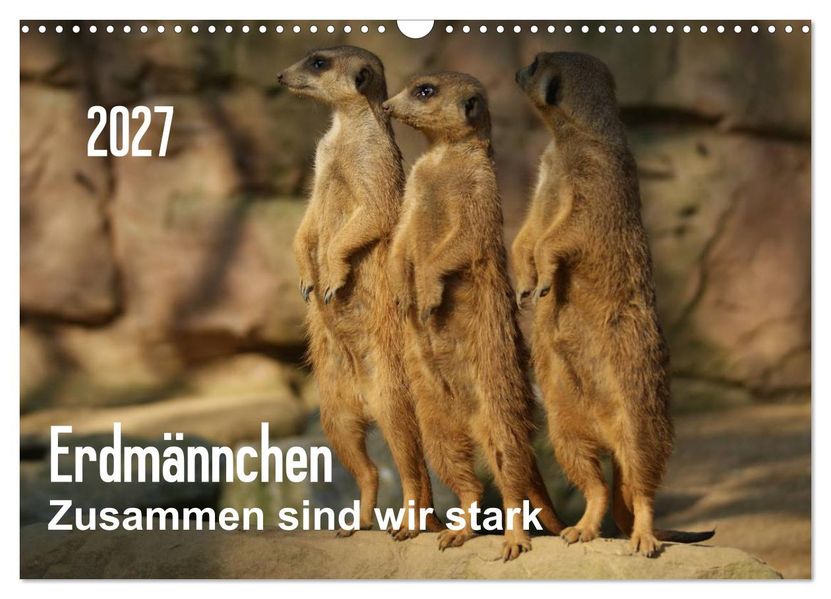 Erdmännchen - Zusammen sind wir stark / CH-Version (Wandkalender 2027 DIN A3 quer) CALVENDO Monatskalender