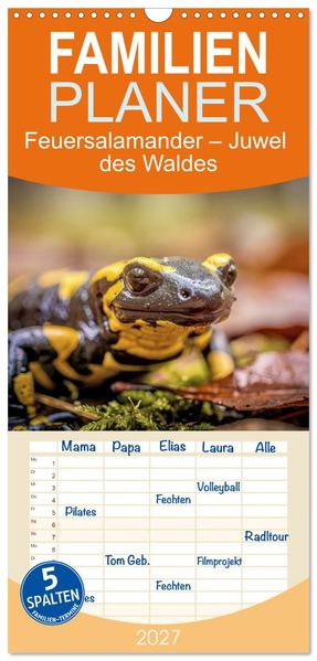 Familienplaner 2027 - Feuersalamander - Juwel des Waldes mit 5 Spalten (Wandkalender 21 x 45 cm) CALVENDO
