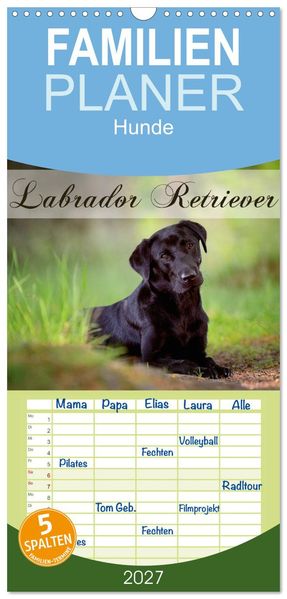 Familienplaner 2027 - Labrador Retriever mit 5 Spalten (Wandkalender 21 x 45 cm) CALVENDO