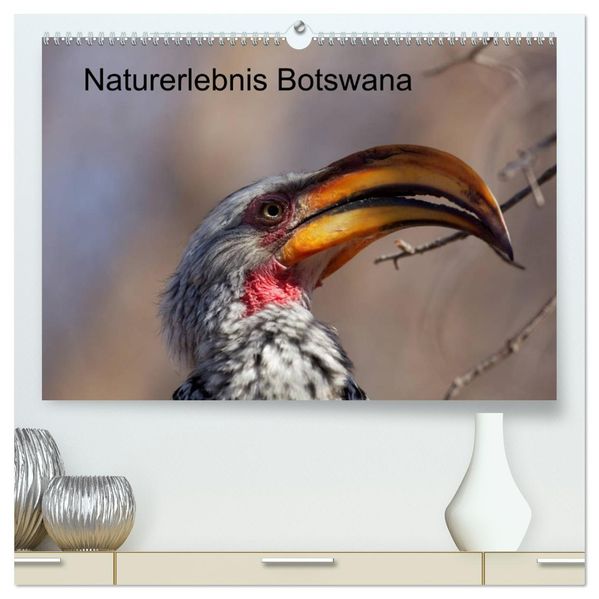 Naturerlebnis Botswana (hochwertiger Premium Wandkalender 2027 DIN A2 quer) Kunstdruck in Hochglanz