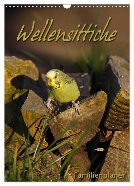 Wellensittiche (Wandkalender 2027 DIN A3 hoch) CALVENDO Monatskalender