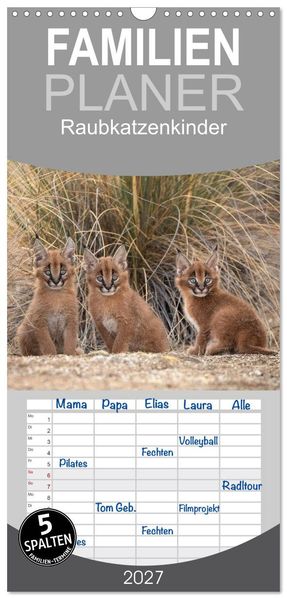 Familienplaner 2027 - Raubkatzenkinder mit 5 Spalten (Wandkalender 21 x 45 cm) CALVENDO