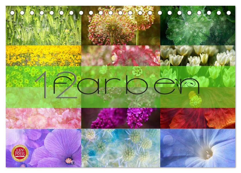 12 Farben (Tischkalender 2027 DIN A5 quer) CALVENDO Monatskalender