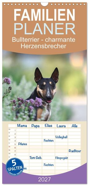 Familienplaner 2027 - Bullterrier - charmante Herzensbrecher mit 5 Spalten (Wandkalender 21 x 45 cm) CALVENDO