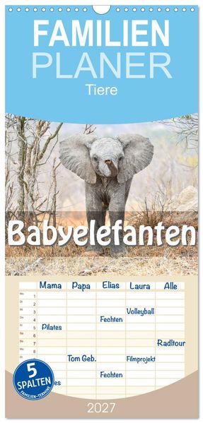 Familienplaner 2027 - Babyelefanten mit 5 Spalten (Wandkalender 21 x 45 cm) CALVENDO