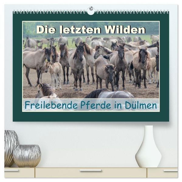 Die letzten Wilden - freilebende Pferde in Dülmen (hochwertiger Premium Wandkalender 2027 DIN A2 quer) Kunstdruck in Hochglanz