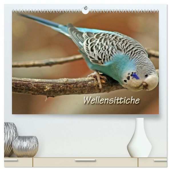 Wellensittiche (hochwertiger Premium Wandkalender 2027 DIN A2 quer) Kunstdruck in Hochglanz