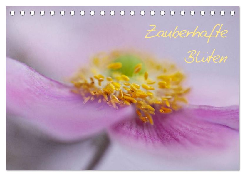 Zauberhafte Blüten (Tischkalender 2027 DIN A5 quer) CALVENDO Monatskalender