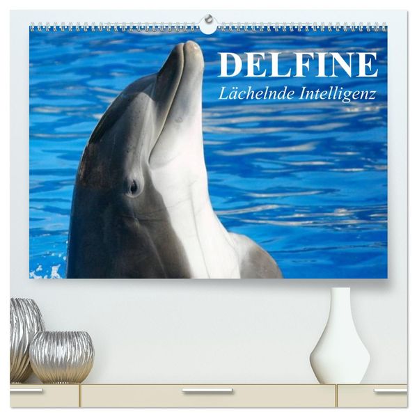 Delfine - Lächelnde Intelligenz (hochwertiger Premium Wandkalender 2027 DIN A2 quer) Kunstdruck in Hochglanz