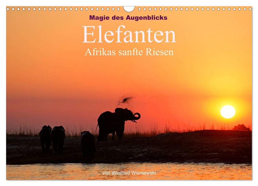 Magie des Augenblicks - Elefanten - Afrikas sanfte Riesen (Wandkalender 2027 DIN A3 quer) CALVENDO Monatskalender