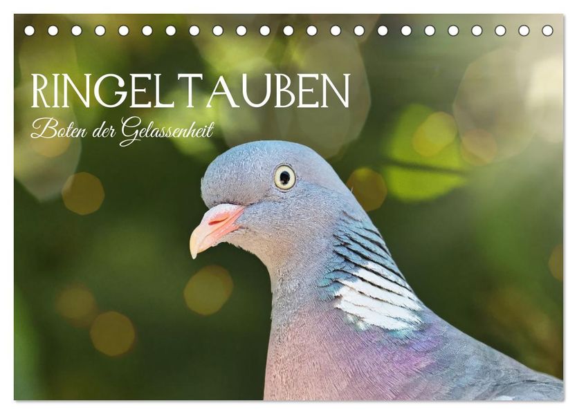Ringeltauben Boten der Gelassenheit (Tischkalender 2027 DIN A5 quer) CALVENDO Monatskalender