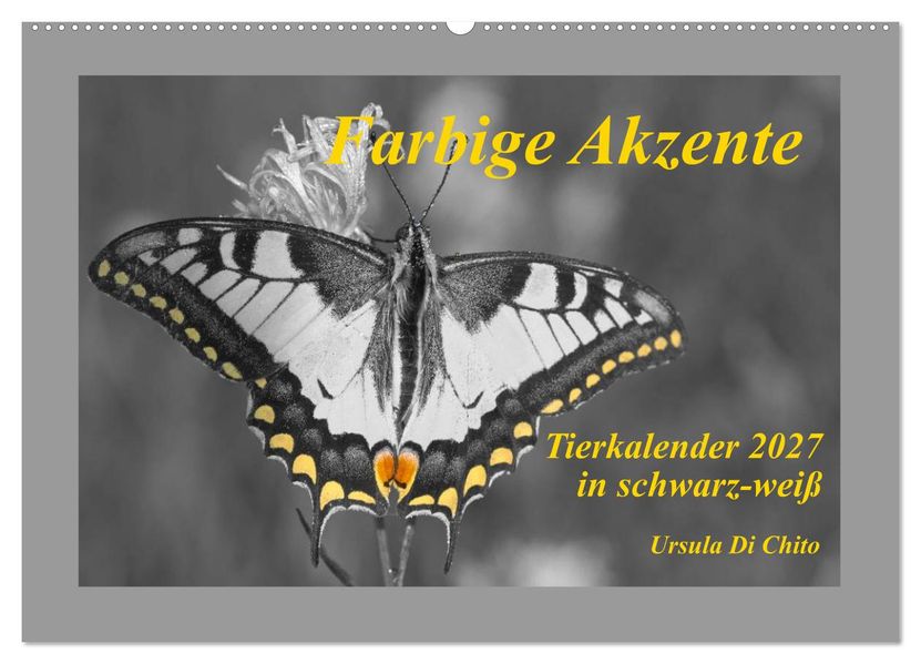 Farbige Akzente - Tierkalender 2027 in schwarz-weiß (Wandkalender 2027 DIN A2 quer) CALVENDO Monatskalender