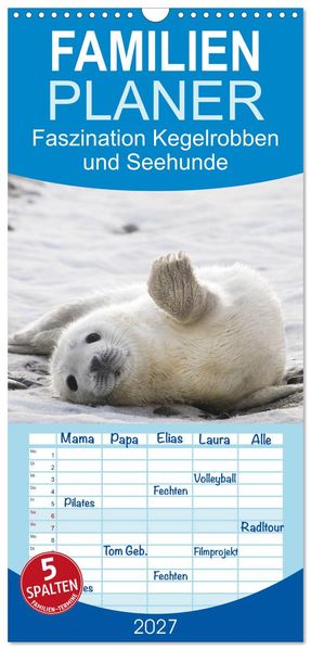 Familienplaner 2027 - Faszination Kegelrobben und Seehunde mit 5 Spalten (Wandkalender 21 x 45 cm) CALVENDO