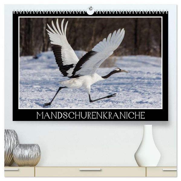Mandschurenkraniche (hochwertiger Premium Wandkalender 2027 DIN A2 quer) Kunstdruck in Hochglanz