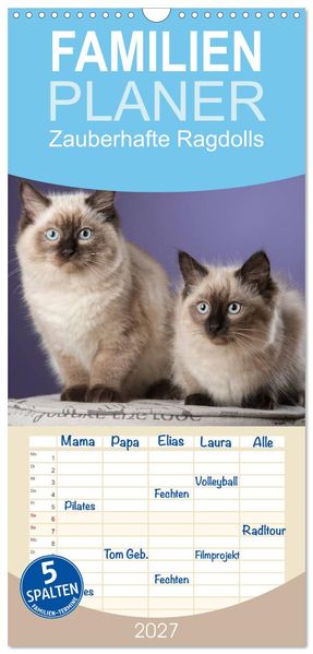 Familienplaner 2027 - Zauberhafte Ragdolls mit 5 Spalten (Wandkalender 21 x 45 cm) CALVENDO