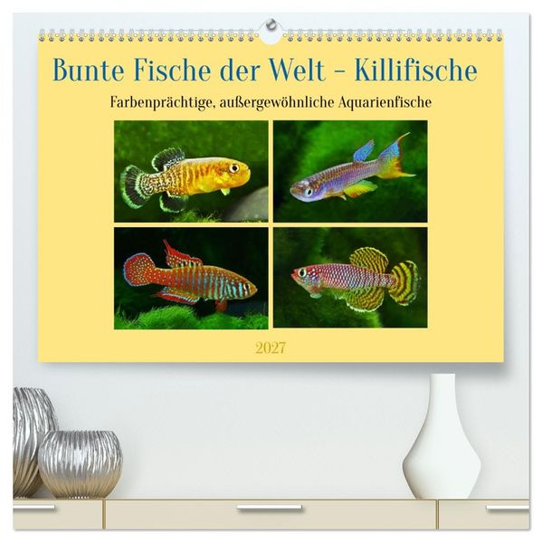 Bunte Fische der Welt - Killifische (hochwertiger Premium Wandkalender 2027 DIN A2 quer) Kunstdruck in Hochglanz