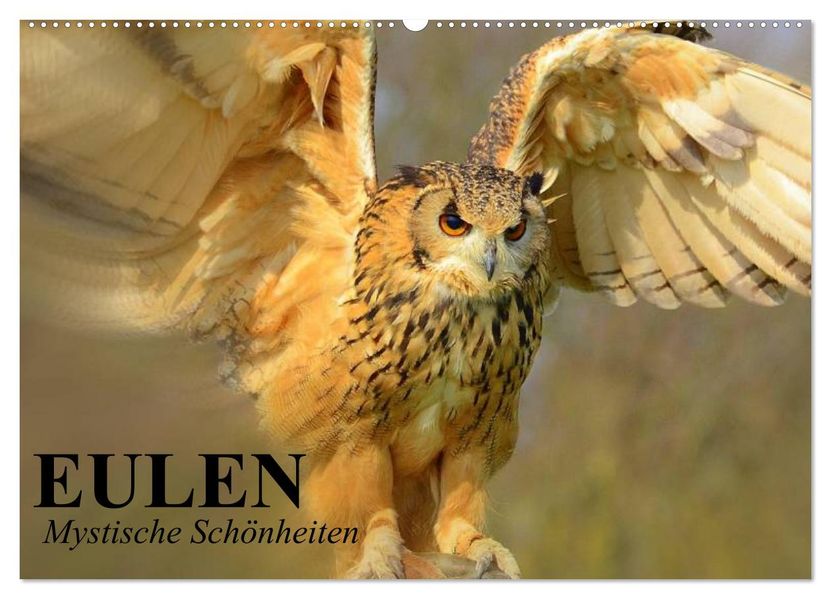 Eulen. Mystische Schönheiten (Wandkalender 2027 DIN A2 quer) CALVENDO Monatskalender