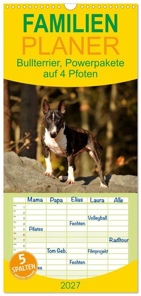 Familienplaner 2027 - Bullterrier Powerpakete auf 4 Pfoten mit 5 Spalten (Wandkalender 21 x 45 cm) CALVENDO