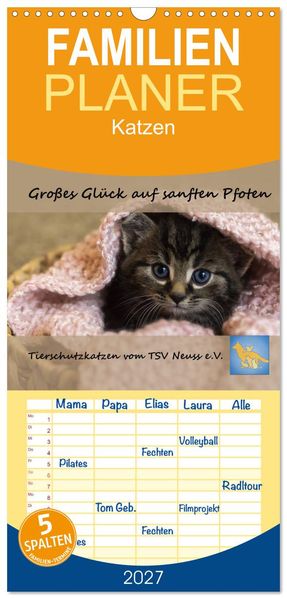 Familienplaner 2027 - Tierschutzkatzen vom TSV-Neuss - Großes Glück auf sanften Pfoten mit 5 Spalten (Wandkalender 21 x 45 cm) CALVENDO