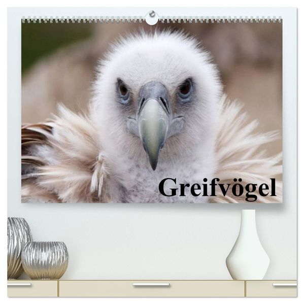 Greifvögel (hochwertiger Premium Wandkalender 2027 DIN A2 quer) Kunstdruck in Hochglanz