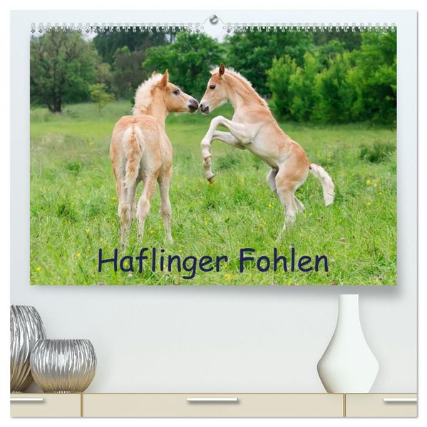 Haflinger Fohlen (hochwertiger Premium Wandkalender 2027 DIN A2 quer) Kunstdruck in Hochglanz