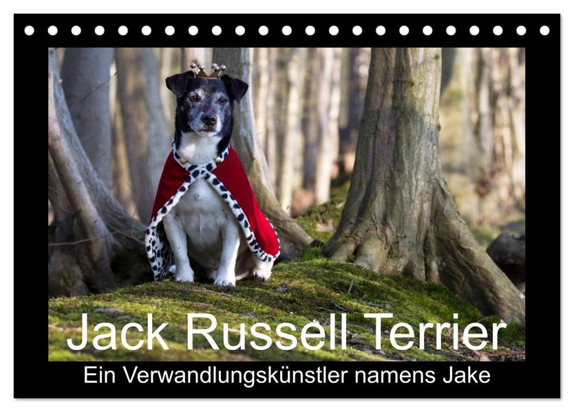 Jack Russell Terrier.....Ein Verwandlungskünstler namens Jake (Tischkalender 2027 DIN A5 quer) CALVENDO Monatskalender