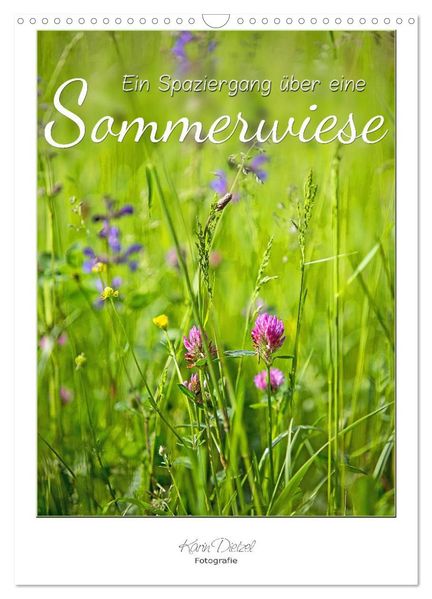 Ein Spaziergang über eine Sommerwiese (Wandkalender 2027 DIN A3 hoch) CALVENDO Monatskalender