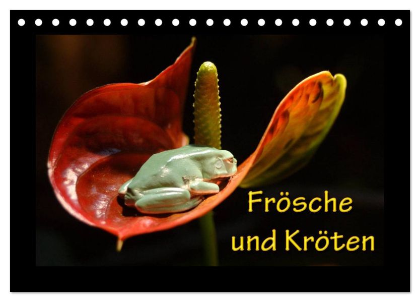 Frösche und Kröten (Tischkalender 2027 DIN A5 quer) CALVENDO Monatskalender