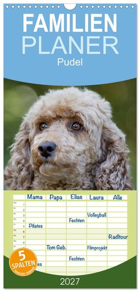 Familienplaner 2027 - Pudel mit 5 Spalten (Wandkalender 21 x 45 cm) CALVENDO