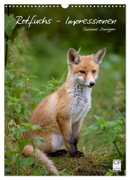 Rotfuchs - Impressionen (Wandkalender 2027 DIN A3 hoch) CALVENDO Monatskalender