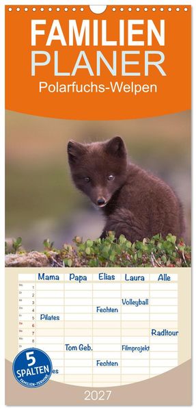 Familienplaner 2027 - Polarfuchs-Welpen mit 5 Spalten (Wandkalender 21 x 45 cm) CALVENDO