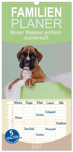 Familienplaner 2027 - Boxer Welpen einfach zuckersüß mit 5 Spalten (Wandkalender 21 x 45 cm) CALVENDO