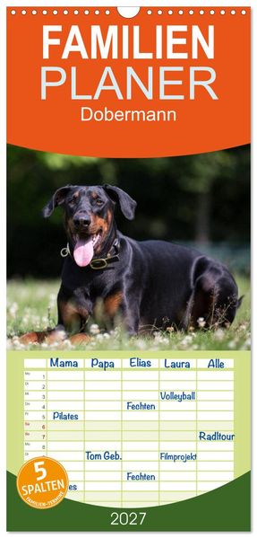 Familienplaner 2027 - Dobermann mit 5 Spalten (Wandkalender 21 x 45 cm) CALVENDO