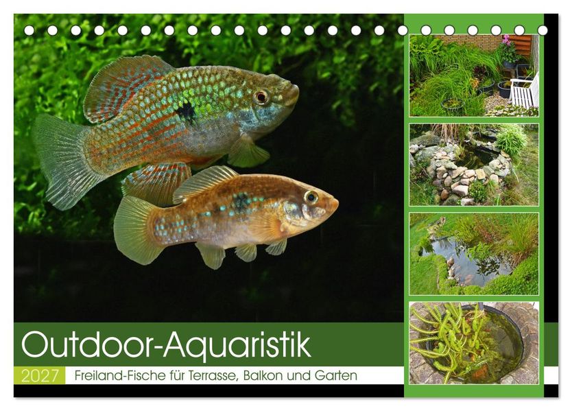 Outdoor-Aquaristik (Tischkalender 2027 DIN A5 quer) CALVENDO Monatskalender
