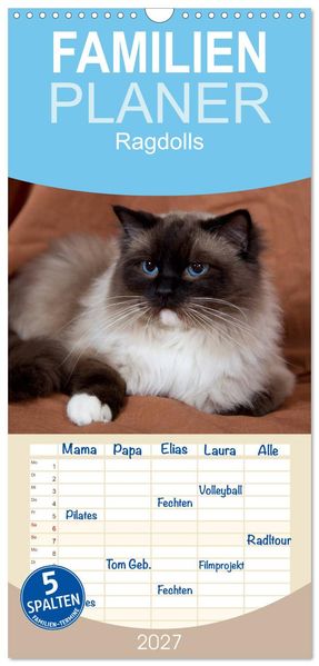 Familienplaner 2027 - Ragdolls mit 5 Spalten (Wandkalender 21 x 45 cm) CALVENDO