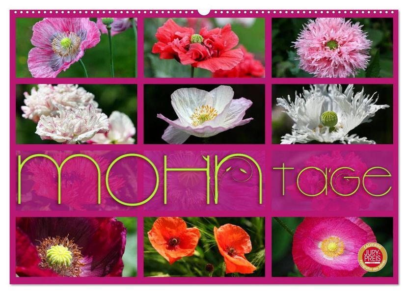 Mohn Tage (Wandkalender 2027 DIN A2 quer) CALVENDO Monatskalender