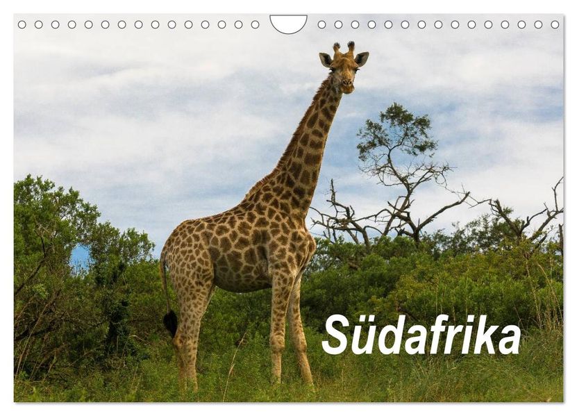Südafrika (Wandkalender 2027 DIN A4 quer) CALVENDO Monatskalender
