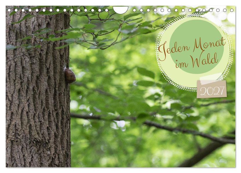 Jeden Monat im Wald (Wandkalender 2027 DIN A4 quer) CALVENDO Monatskalender