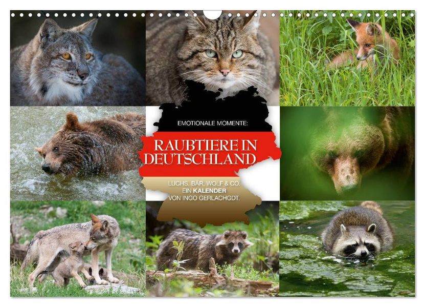 Emotionale Momente: Raubtiere in Deutschland (Wandkalender 2027 DIN A3 quer) CALVENDO Monatskalender