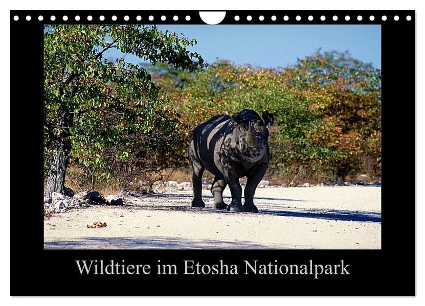 Wildtiere im Etosha Nationalpark (Wandkalender 2027 DIN A4 quer) CALVENDO Monatskalender