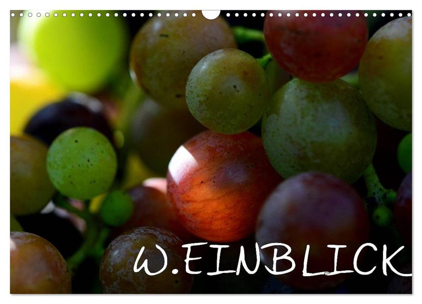 W.EINBLICK (Wandkalender 2027 DIN A3 quer) CALVENDO Monatskalender