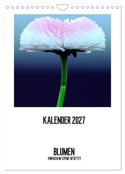 BLUMEN EINFACH IN SZENE GESETZT (Wandkalender 2027 DIN A4 hoch) CALVENDO Monatskalender