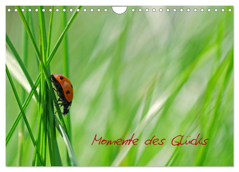 Momente des Glücks (Wandkalender 2027 DIN A4 quer) CALVENDO Monatskalender