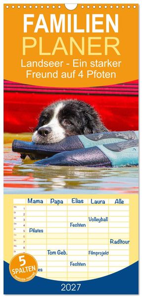 Familienplaner 2027 - Landseer - Ein starker Freund auf 4 Pfoten mit 5 Spalten (Wandkalender 21 x 45 cm) CALVENDO
