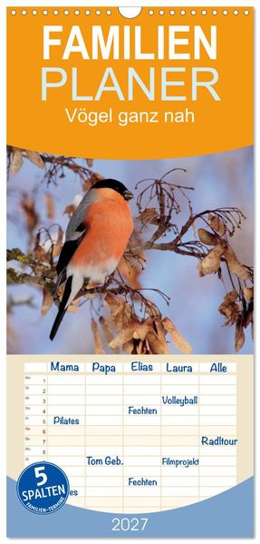 Familienplaner 2027 - Vögel ganz nah mit 5 Spalten (Wandkalender 21 x 45 cm) CALVENDO