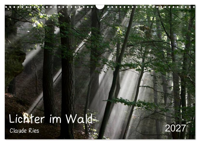 Lichter im Wald (Wandkalender 2027 DIN A3 quer) CALVENDO Monatskalender