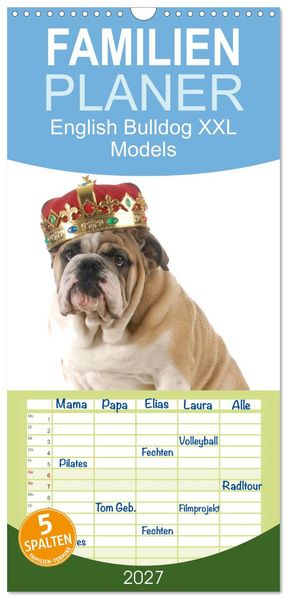 Familienplaner 2027 - English Bulldog XXL Models mit 5 Spalten (Wandkalender 21 x 45 cm) CALVENDO